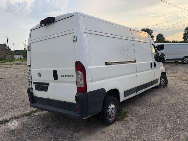 Fiat Ducato, cargo vans