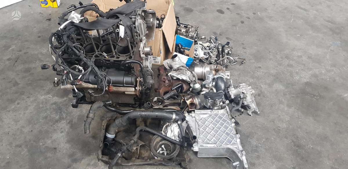 Volkswagen Passat variklio detalės