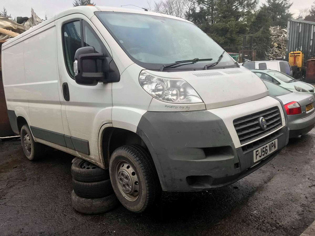 Fiat Ducato, cargo vans