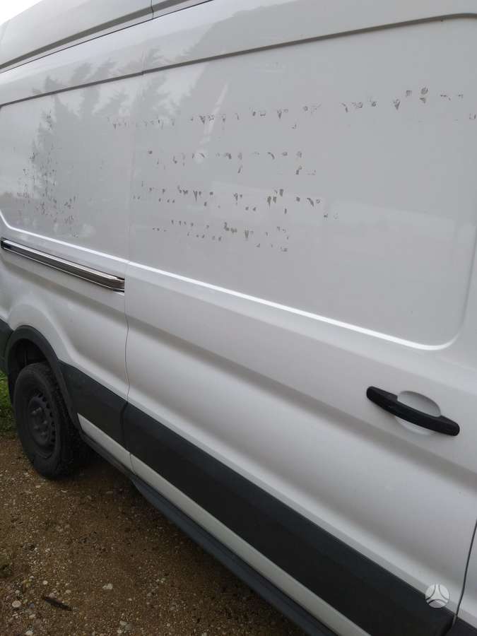 Ford Transit, cargo vans