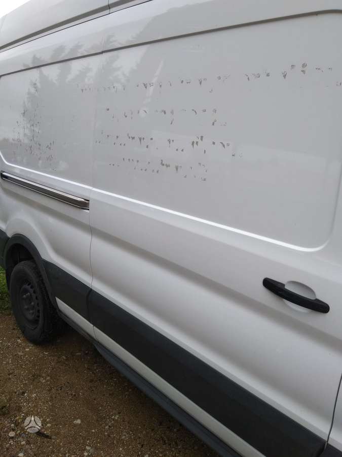 Ford Transit, грузовые микроавтобусы