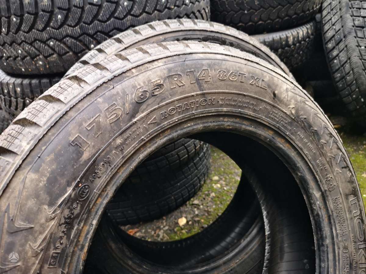 Nokian, winter 175/65 R14