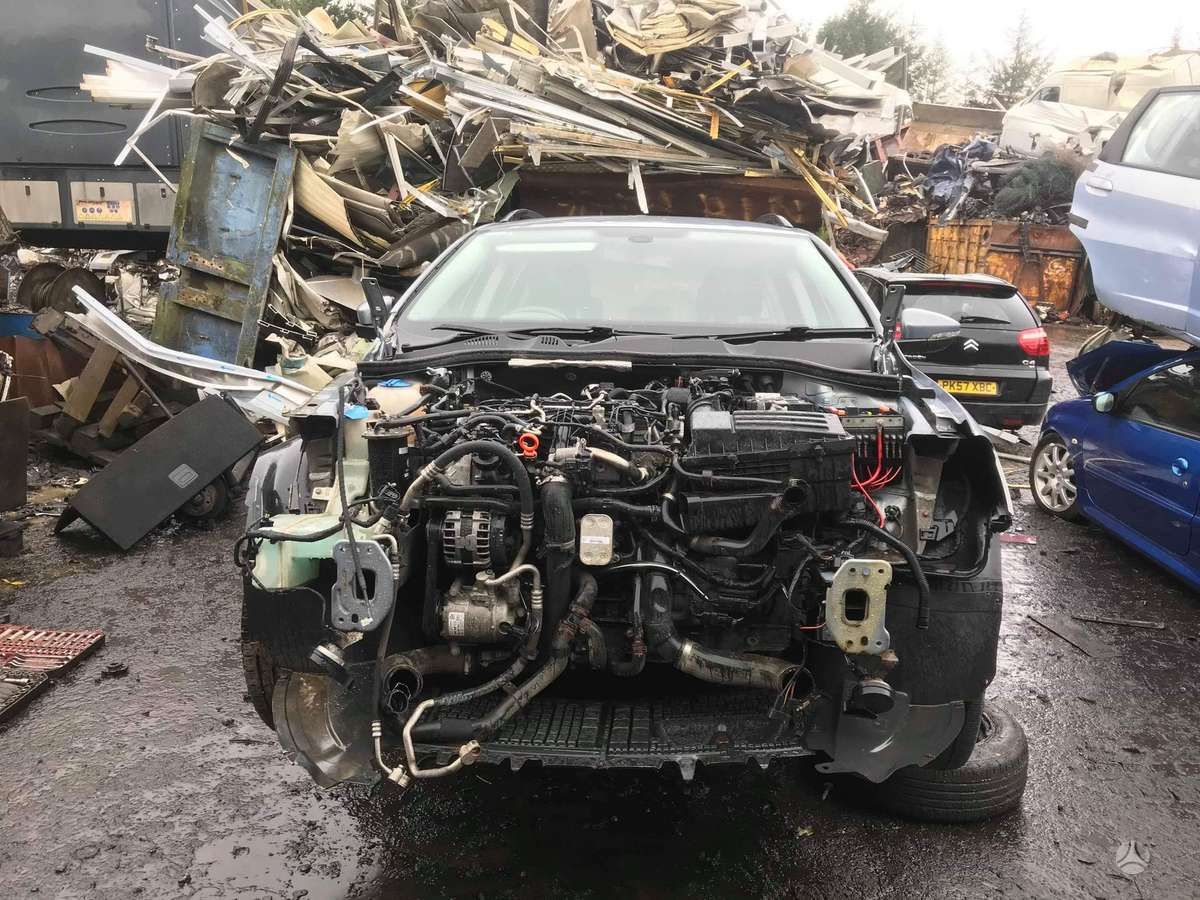 Volkswagen Passat dalimis