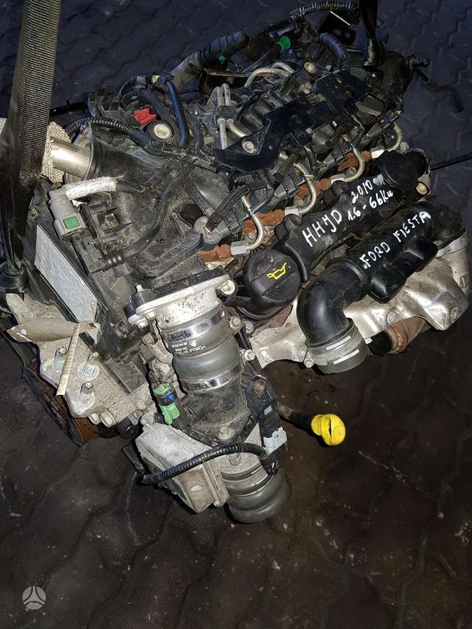Ford Fiesta Variklio kodas hhjd