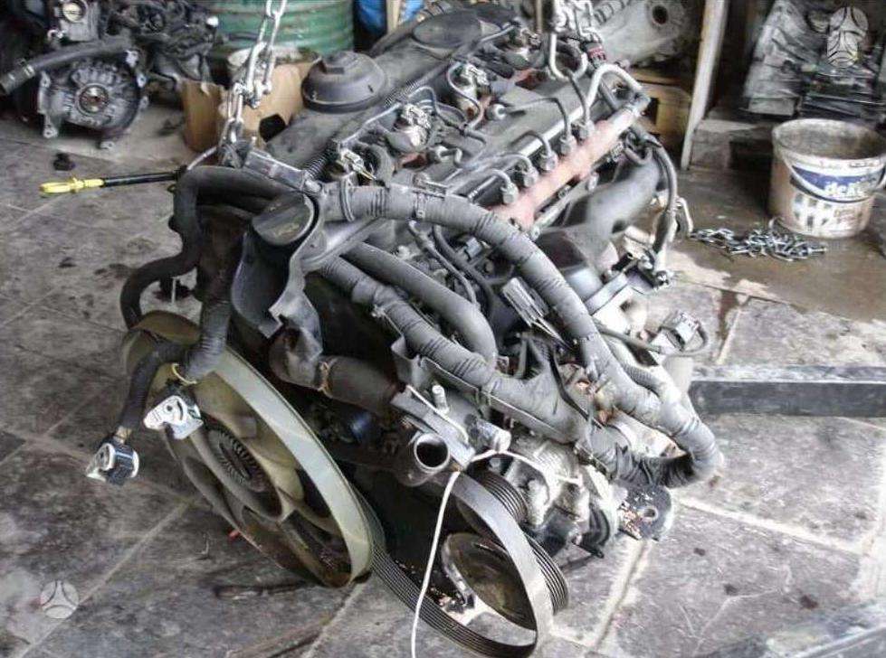 Ford Transit, cits