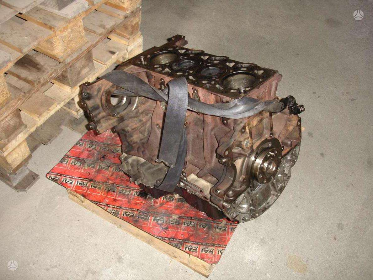Ford Transit, kita