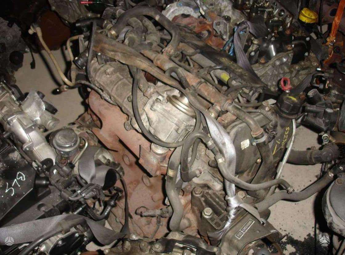 Iveco Daily, other