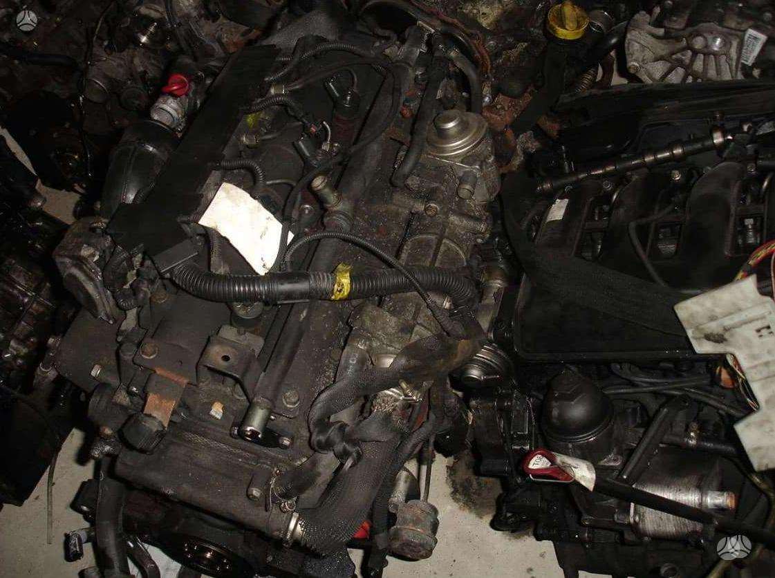 Iveco Daily, other