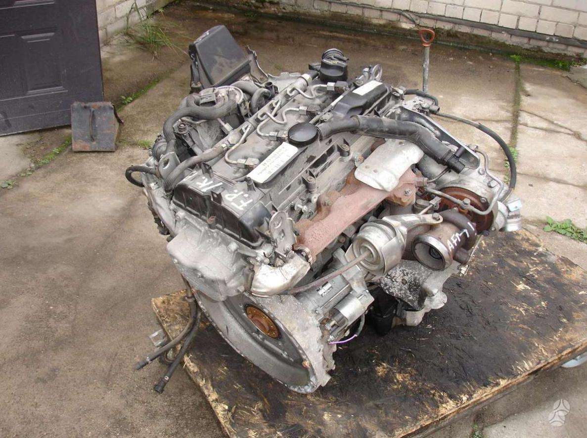 Mercedes-Benz Sprinter, other