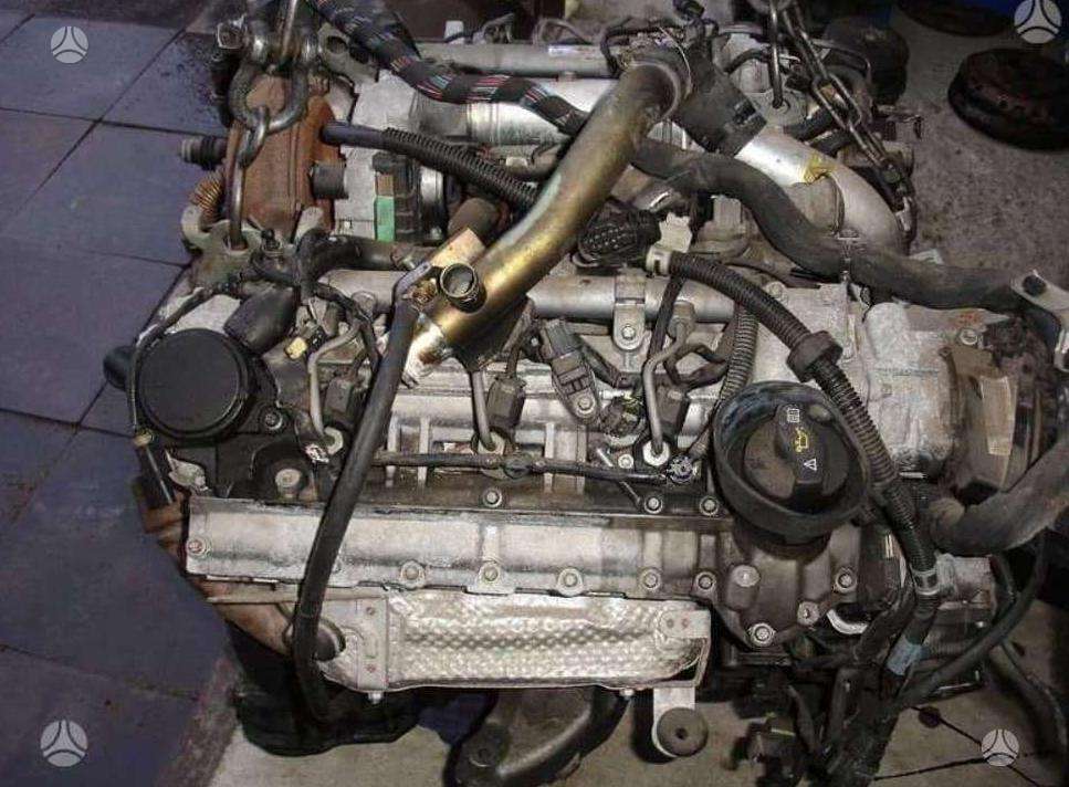 Mercedes-Benz Sprinter, other