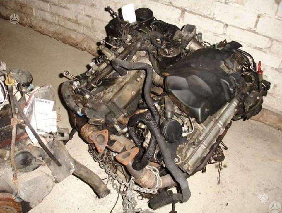 Mercedes-Benz Sprinter, other
