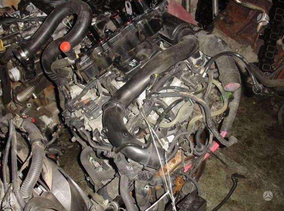 Nissan Primastar, kita