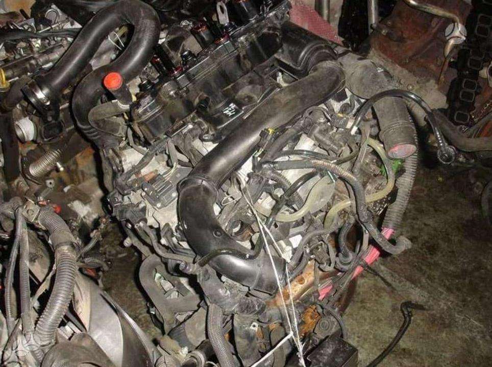 Nissan Primastar, other