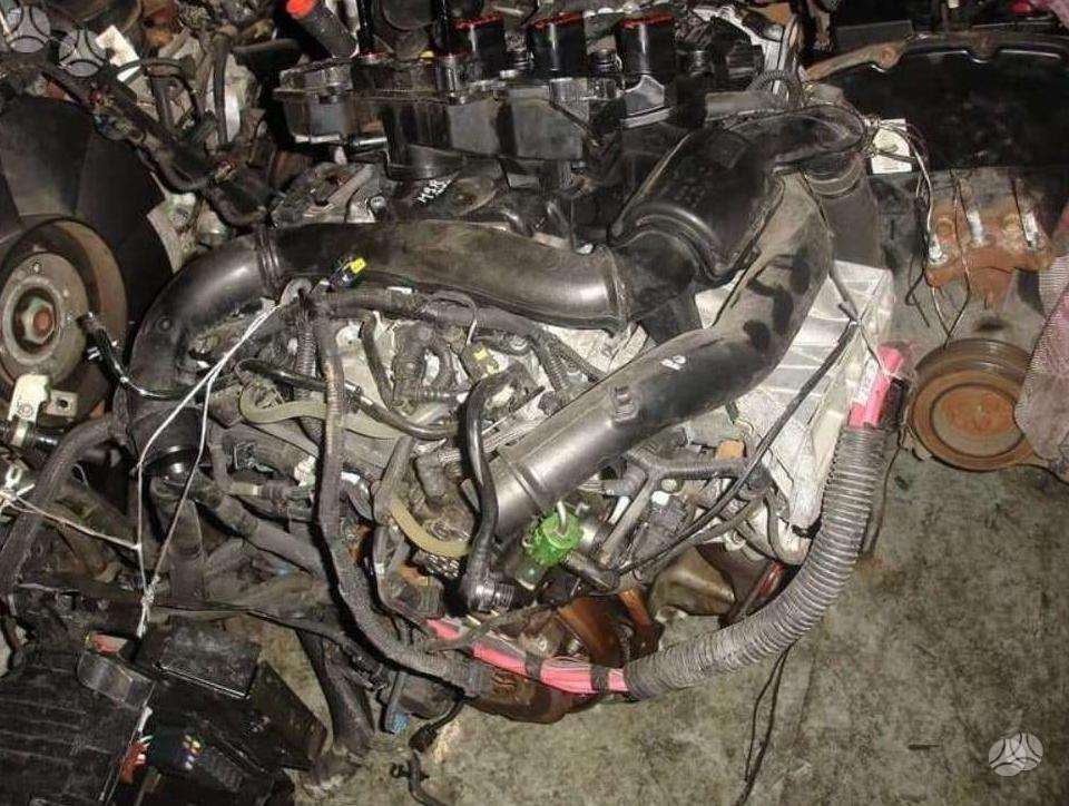 Nissan Primastar, kita