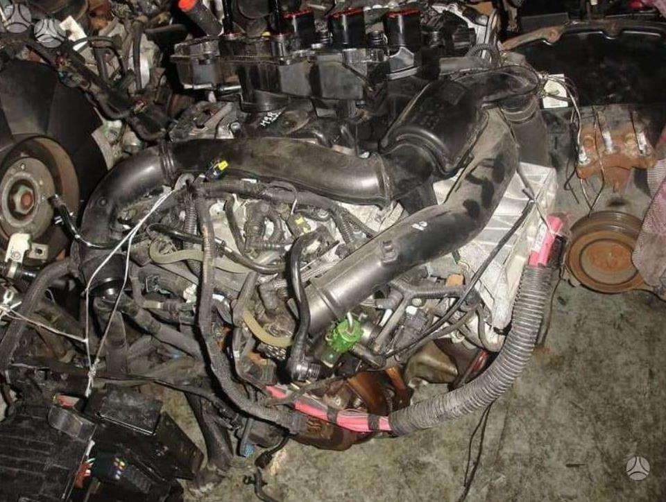 Nissan Primastar, other