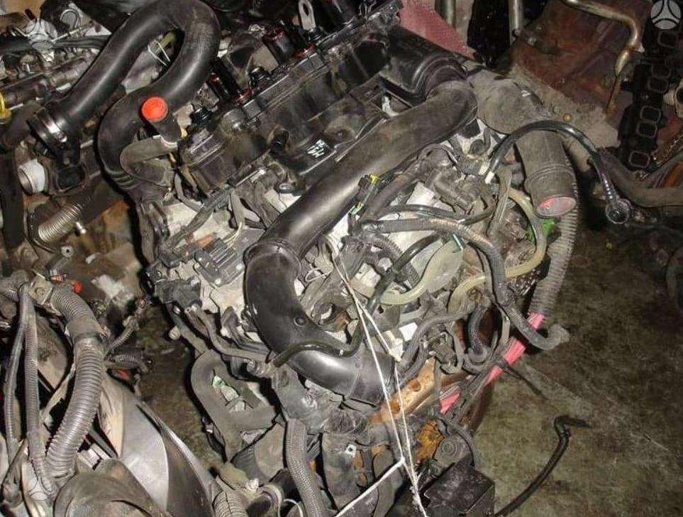 Renault Trafic, cits