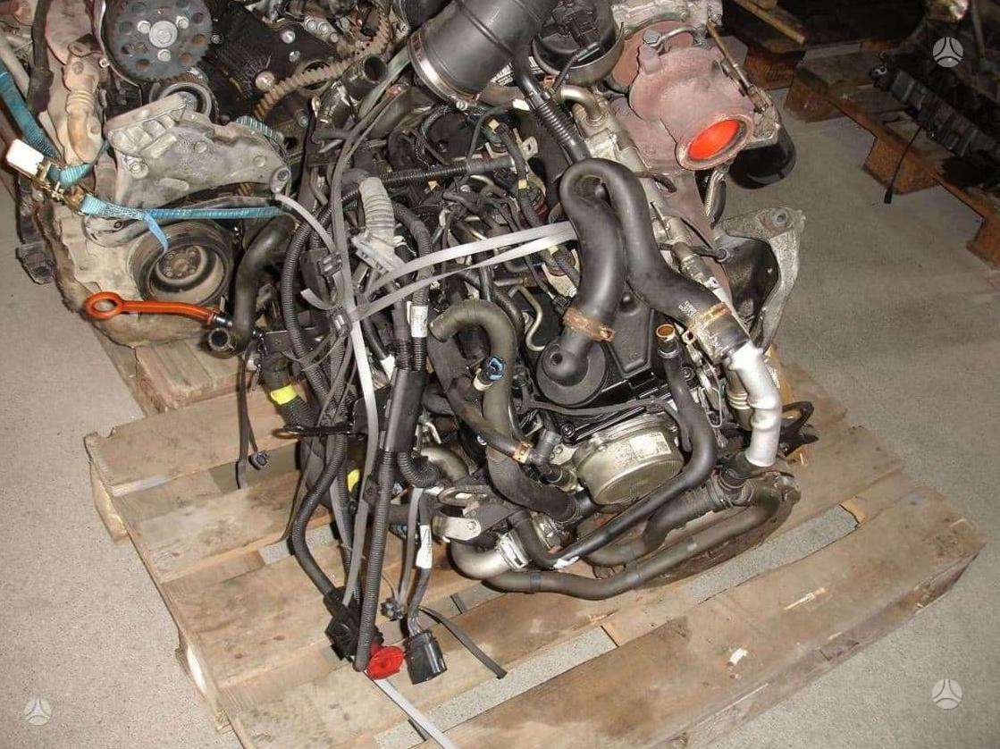 Volkswagen Crafter, kita