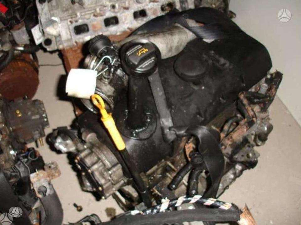Volkswagen Transporter, kita