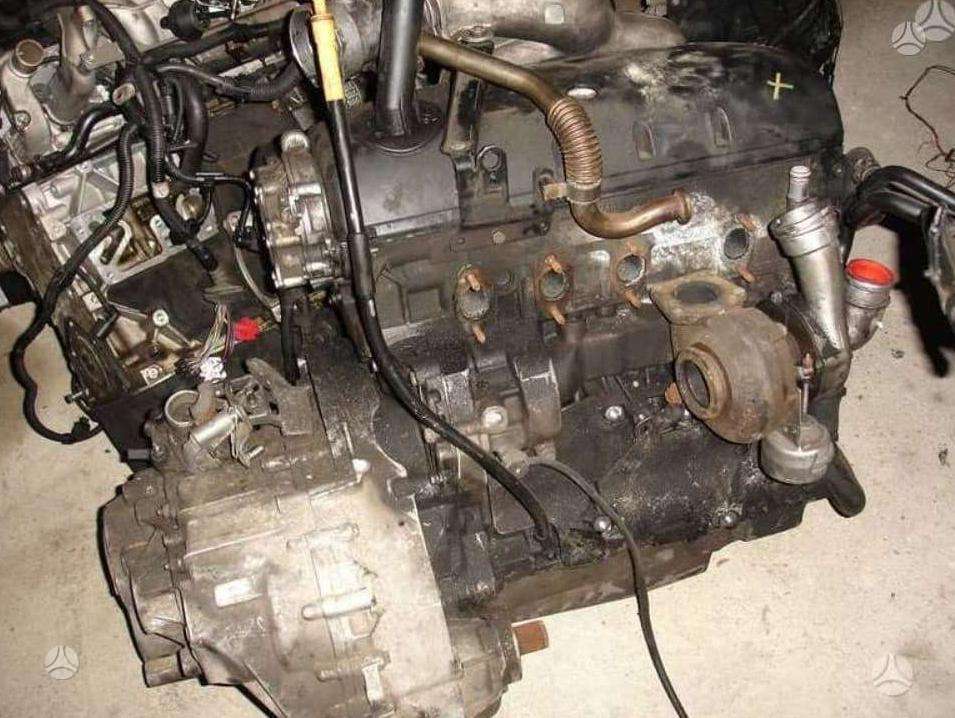 Volkswagen Transporter, cits
