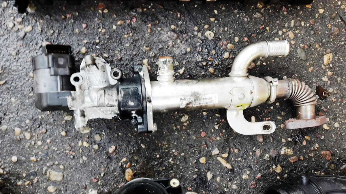 Citroen C5, 10DYVD, variklio detalės