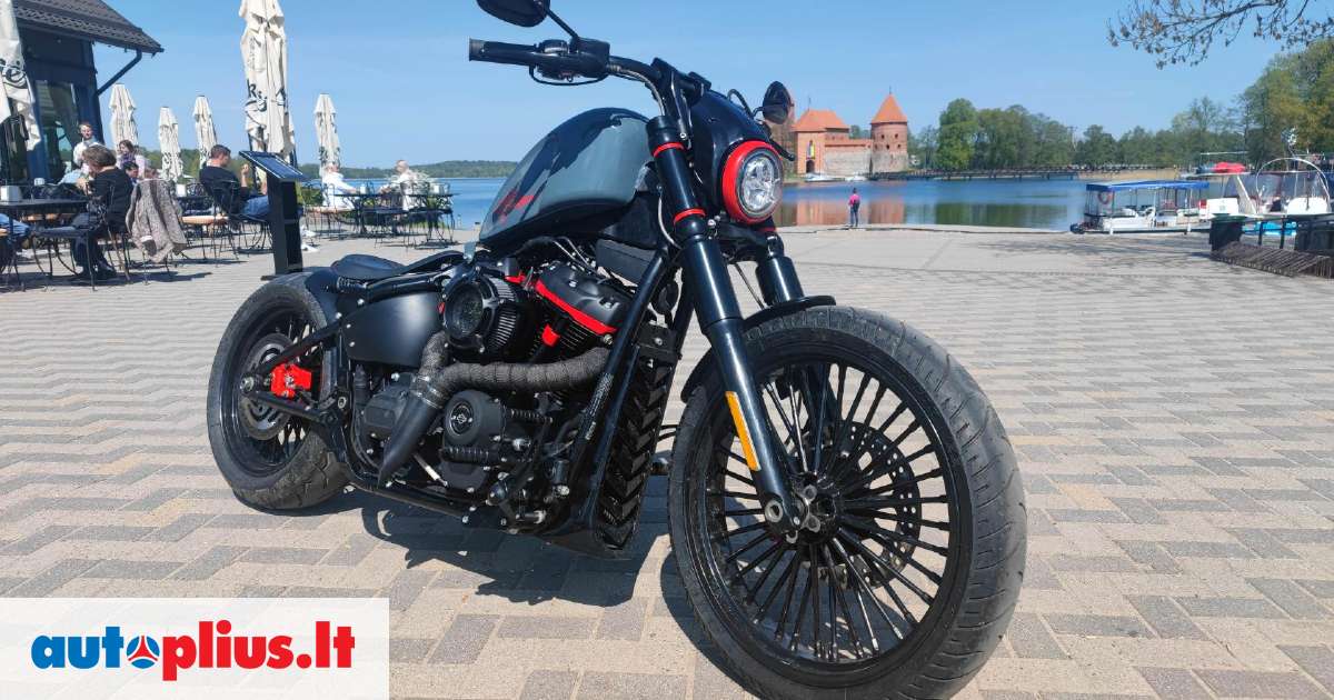 harley davidson chopper cruiser