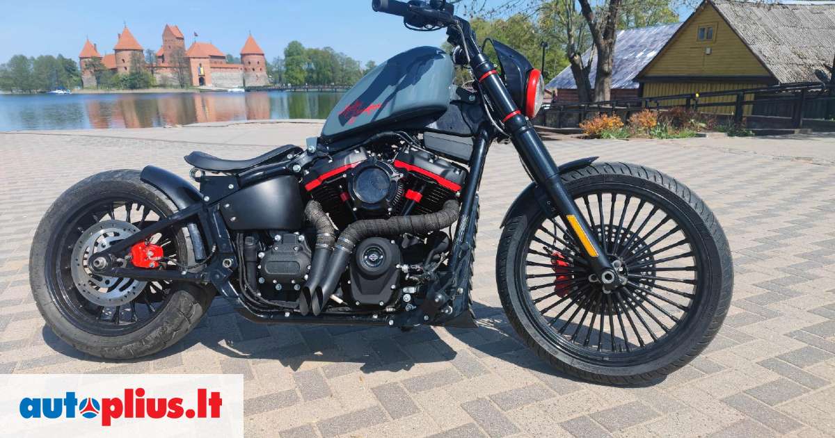 harley davidson chopper cruiser