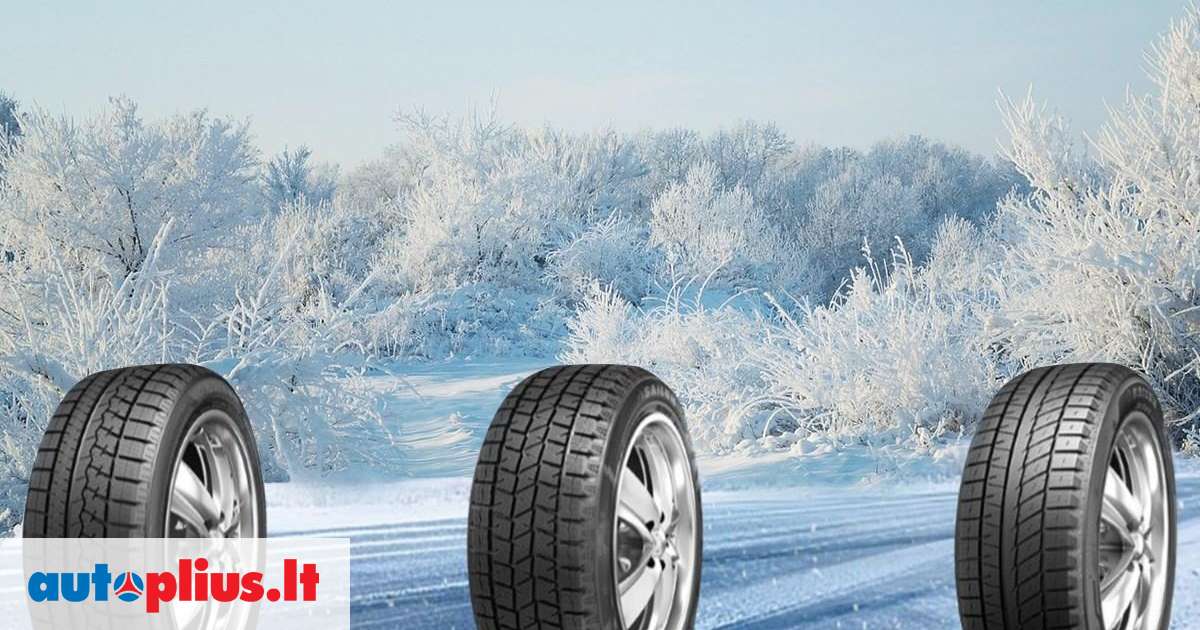 Sailun Artic, žieminės 225/45 R18 | A24360750