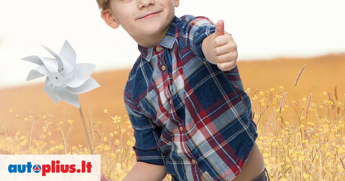 Sailun ICE BLAZER ARCTIC EVO 1, зимние 215/55 R17 | A26674263