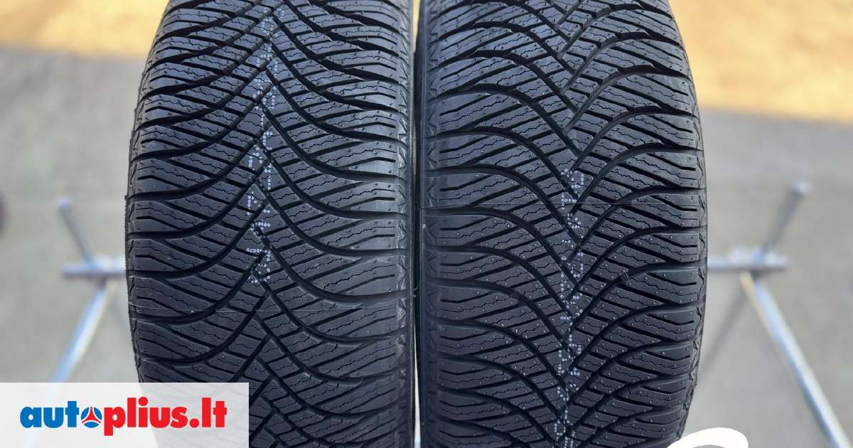 Goodride All Seasons Elite Z-401 Test Goodride All Season Elite Z-401, universalios 205/55 R16 | A26723997