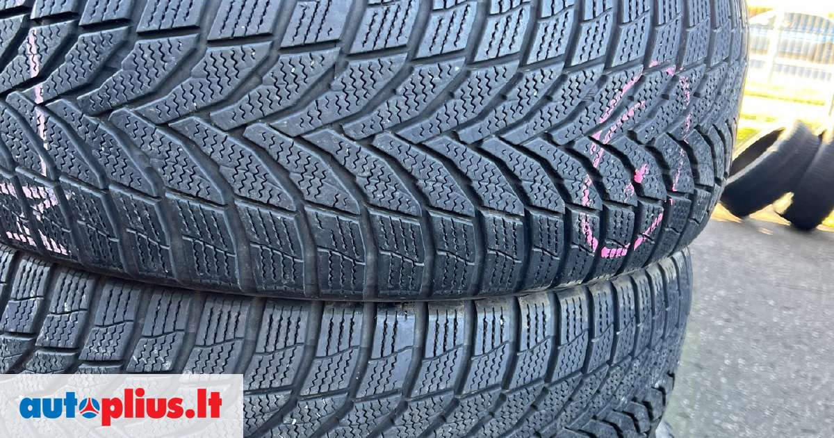 Nexen, žieminės 225/60 R17 | A26928809