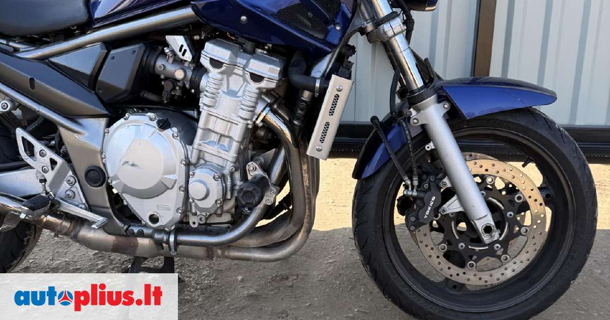 Suzuki GSF Bandit 650 Crash Sturzpad Heck Schwinge Achse Schieber