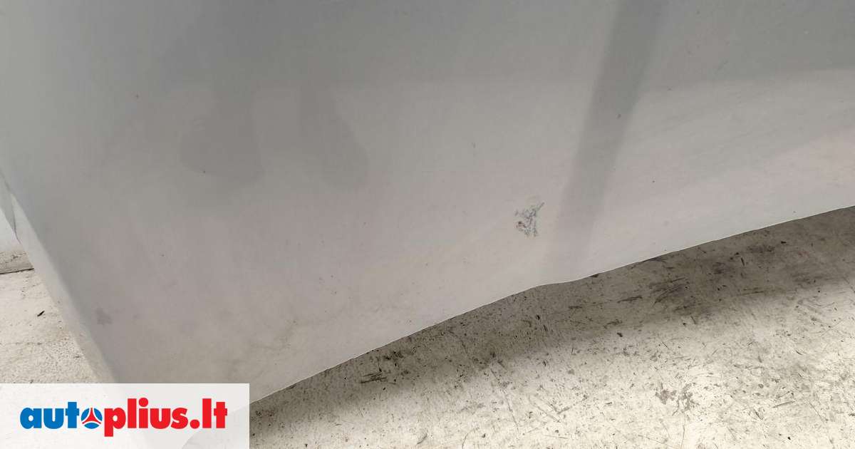 Land Rover Range Rover Sport dangtis (priekinis, galinis) 2009 m ...