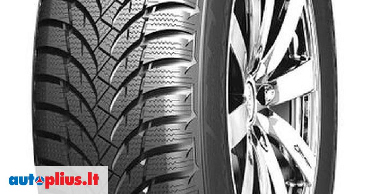 Nexen Winguard Snow'G WH2, winter 195/55 R16 | A32459446