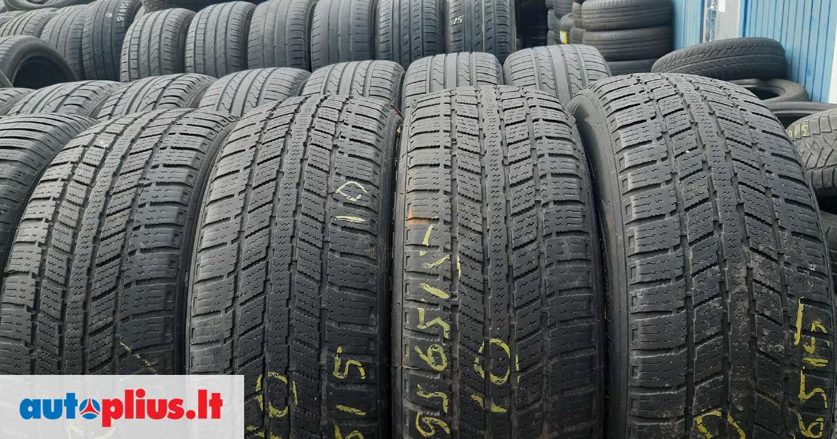 Michelin , Continental, Nokian, universalios 195/65 R15 | A5642971