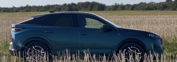 „Peugeot“ vis rečiau leidžia pirkėjams skųstis jų automobiliais