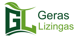 geraslizingas.lt
