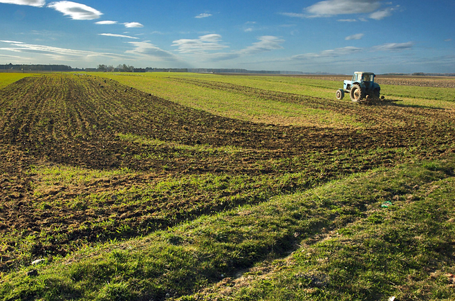 DONATAS AGRO